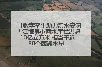 数字孪生助力澧水安澜！江垭皂市两水库拦洪超10亿立方米 相当于近80个西湖水量