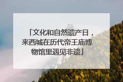 文化和自然遗产日，来西城在历代帝王庙博物馆里遇见非遗