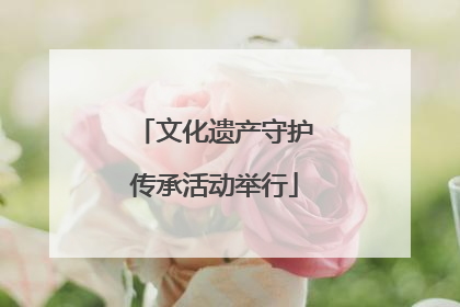 文化遗产守护传承活动举行