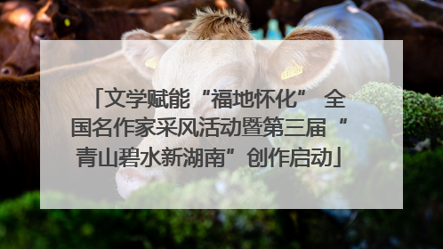 文学赋能“福地怀化” 全国名作家采风活动暨第三届“青山碧水新湖南”创作启动