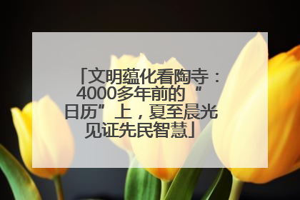 文明蕴化看陶寺：4000多年前的“日历”上，夏至晨光见证先民智慧