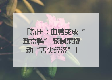 新田：血鸭变成“致富鸭” 预制菜撬动“舌尖经济”