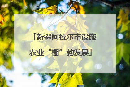 新疆阿拉尔市设施农业“棚”勃发展