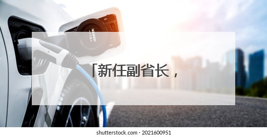 新任副省长，分工明确！