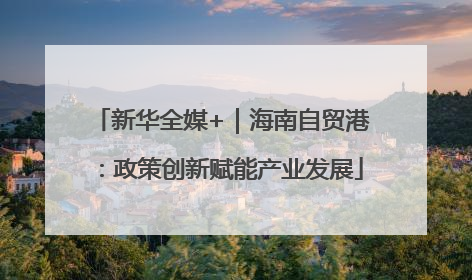 新华全媒+｜海南自贸港：政策创新赋能产业发展