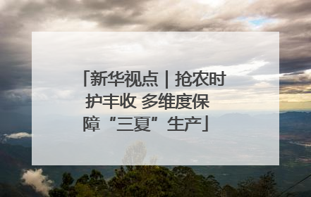 新华视点｜抢农时 护丰收 多维度保障“三夏”生产