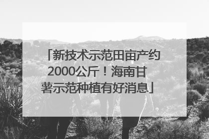 新技术示范田亩产约2000公斤！海南甘薯示范种植有好消息