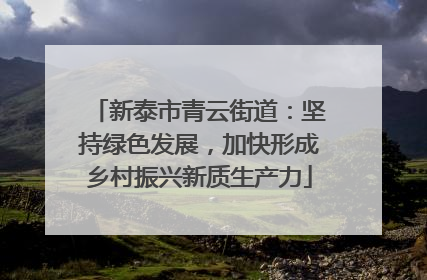 新泰市青云街道：坚持绿色发展，加快形成乡村振兴新质生产力