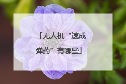 无人机“速成弹药”有哪些