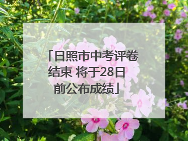 日照市中考评卷结束 将于28日前公布成绩