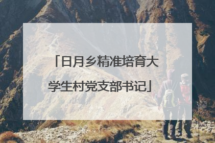 日月乡精准培育大学生村党支部书记