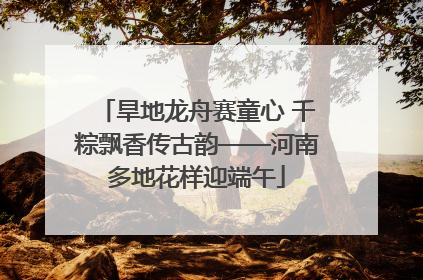 旱地龙舟赛童心 千粽飘香传古韵——河南多地花样迎端午