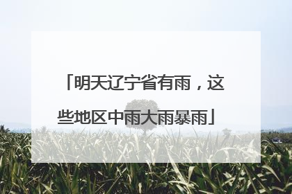 明天辽宁省有雨，这些地区中雨大雨暴雨