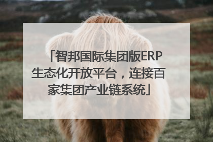 智邦国际集团版ERP生态化开放平台，连接百家集团产业链系统