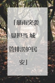 暴雨突袭显担当 城管排涝护民安