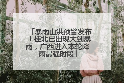 暴雨山洪预警发布！桂北已出现大到暴雨，广西进入本轮降雨最强时段