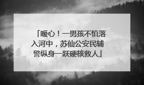 暖心！一男孩不慎落入河中，苏仙公安民辅警纵身一跃硬核救人