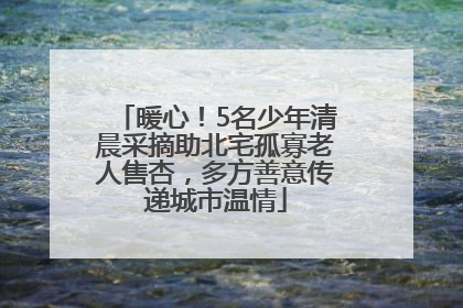 暖心！5名少年清晨采摘助北宅孤寡老人售杏，多方善意传递城市温情