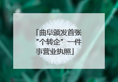 曲阜颁发首张“个转企”一件事营业执照