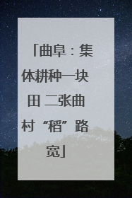 曲阜：集体耕种一块田 二张曲村“稻”路宽