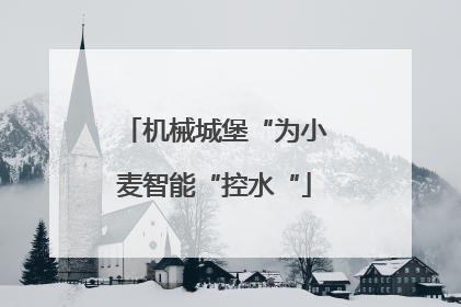 机械城堡“为小麦智能“控水“