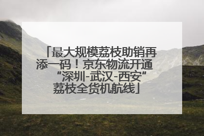 最大规模荔枝助销再添一码！京东物流开通“深圳-武汉-西安” 荔枝全货机航线