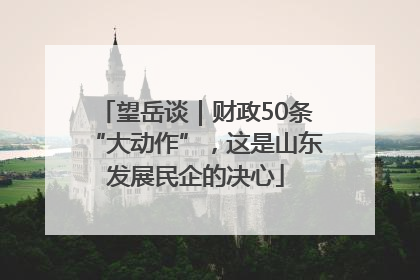 望岳谈｜财政50条“大动作”，这是山东发展民企的决心