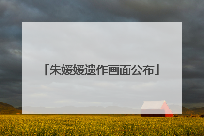 朱媛媛遗作画面公布