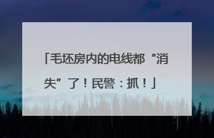 毛坯房内的电线都“消失”了！民警：抓！