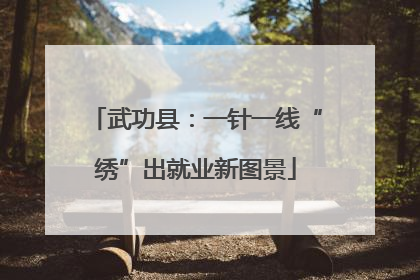 武功县：一针一线“绣”出就业新图景