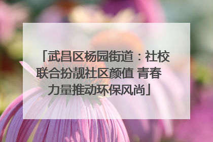武昌区杨园街道：社校联合扮靓社区颜值 青春力量推动环保风尚