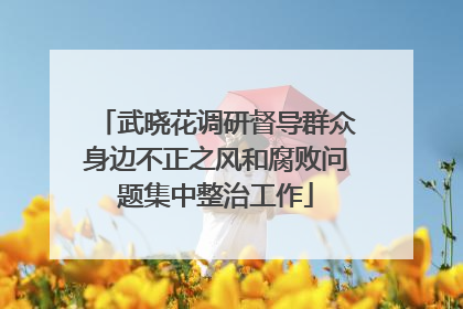 武晓花调研督导群众身边不正之风和腐败问题集中整治工作