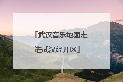 武汉音乐地图走进武汉经开区