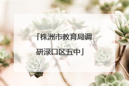 株洲市教育局调研渌口区五中