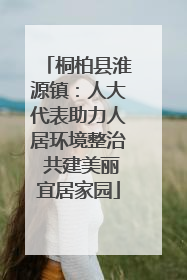 桐柏县淮源镇：人大代表助力人居环境整治 共建美丽宜居家园