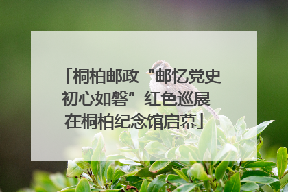 桐柏邮政“邮忆党史 初心如磐”红色巡展在桐柏纪念馆启幕