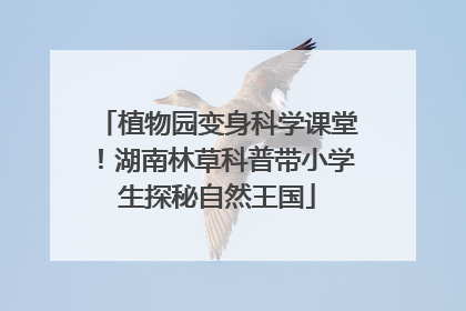 植物园变身科学课堂！湖南林草科普带小学生探秘自然王国
