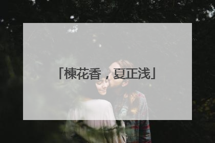 楝花香，夏正浅