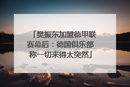樊振东加盟德甲联赛幕后：德国俱乐部称一切来得太突然
