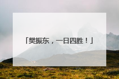 樊振东，一日四胜！