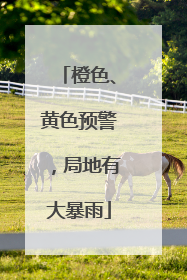 橙色、黄色预警，局地有大暴雨