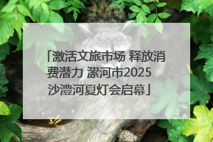 激活文旅市场 释放消费潜力 漯河市2025沙澧河夏灯会启幕