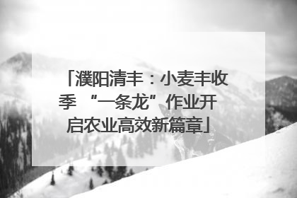 濮阳清丰：小麦丰收季 “一条龙”作业开启农业高效新篇章