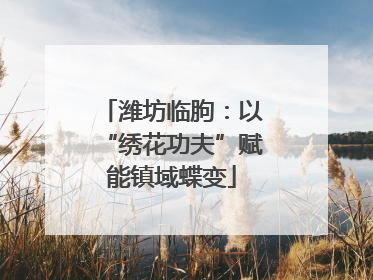 潍坊临朐：以“绣花功夫”赋能镇域蝶变