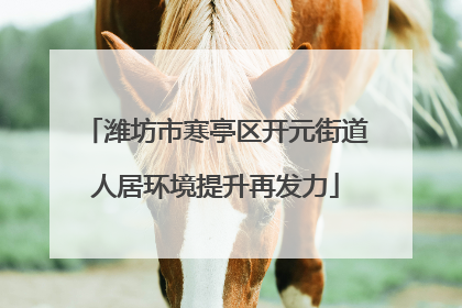 潍坊市寒亭区开元街道人居环境提升再发力