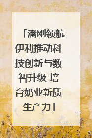 潘刚领航伊利推动科技创新与数智升级 培育奶业新质生产力