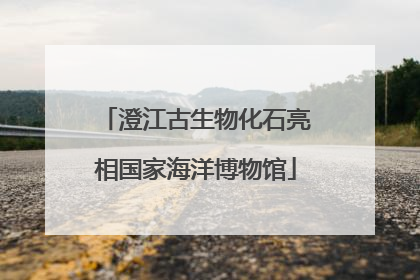 澄江古生物化石亮相国家海洋博物馆