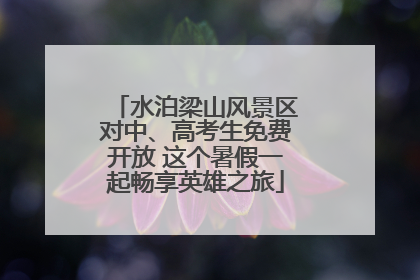 水泊梁山风景区对中、高考生免费开放 这个暑假一起畅享英雄之旅