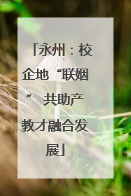 永州：校企地“联姻” 共助产教才融合发展