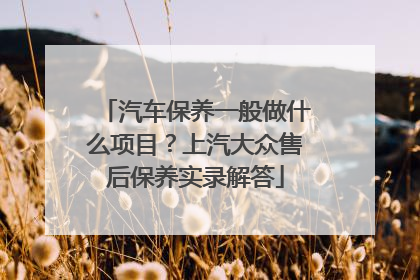 汽车保养一般做什么项目？上汽大众售后保养实录解答